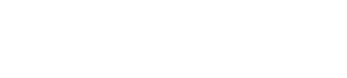 Lighthouse Logo White 1200